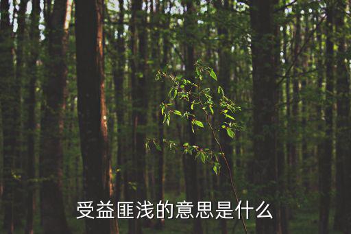 受益匪淺的意思是什么
