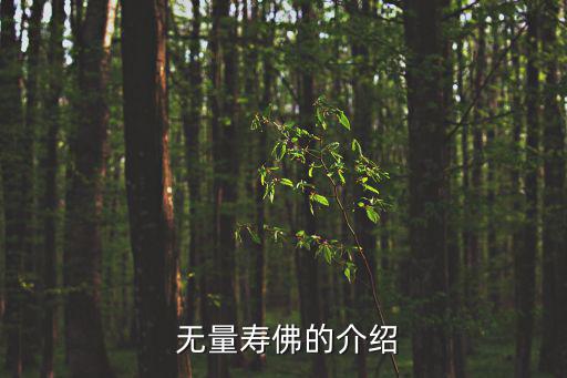  無量壽佛的介紹