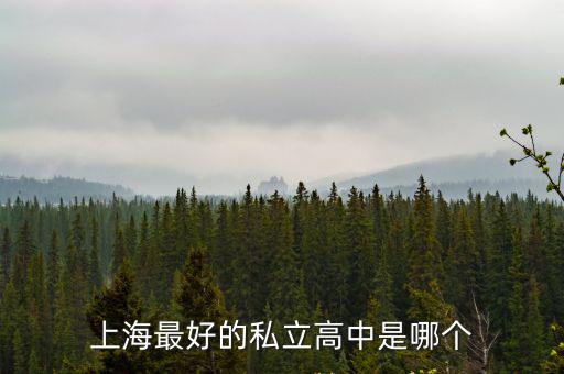 上海最好的私立高中是哪個