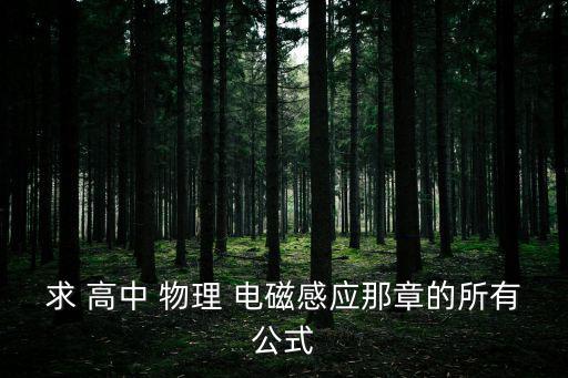 求 高中 物理 電磁感應(yīng)那章的所有公式