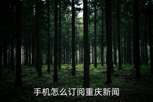 重慶一網通辦APP，重慶怎么用手機shuazuan