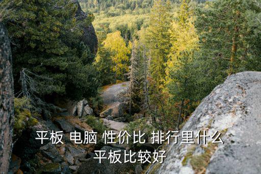  平板 電腦 性價比 排行里什么 平板比較好