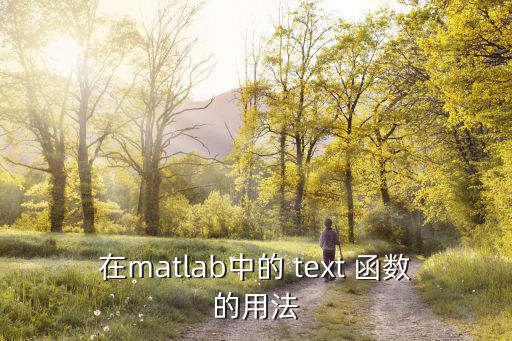 在matlab中的 text 函數(shù)的用法