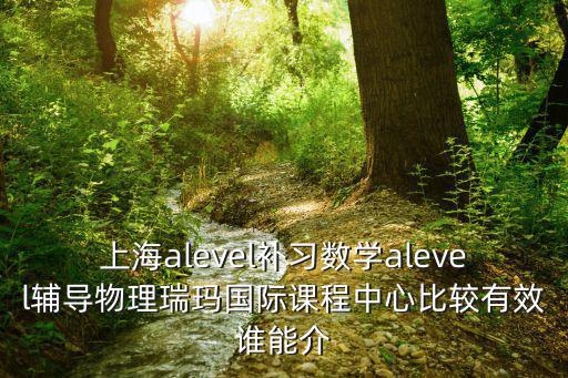 上海alevel課程培訓機構，有誰知道上海alevel課程的四大金剛學校是哪四個