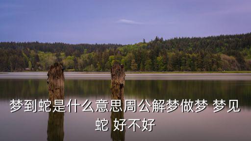 夢到蛇是什么意思周公解夢做夢 夢見蛇 好不好
