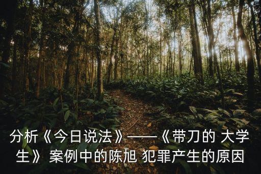 分析《今日說法》——《帶刀的 大學(xué)生》 案例中的陳旭 犯罪產(chǎn)生的原因