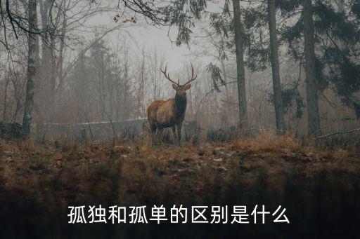 孤獨(dú)和孤單的區(qū)別是什么
