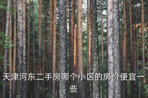 天津河東二手房哪個小區的房價便宜一些