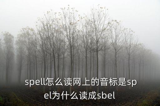  spell怎么讀網上的音標是spel為什么讀成sbel