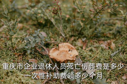 重慶市企業(yè)退休人員死亡傷葬費(fèi)是多少一次性補(bǔ)助費(fèi)領(lǐng)多少個月