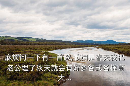老公pk老婆,春天我把玉米埋在土里秋天我會被槍斃