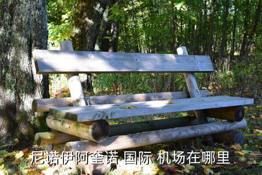 馬尼拉國際機場,馬尼拉國際機場位于菲律賓首都以南