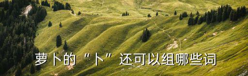 蘿卜的卜多音字,五省的卜姓約占全國漢族人口的67%