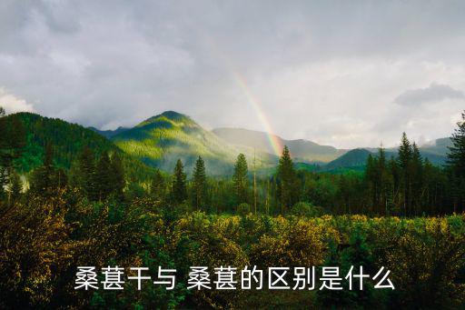  桑葚干與 桑葚的區別是什么