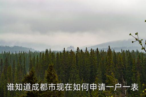 誰(shuí)知道成都市現(xiàn)在如何申請(qǐng)一戶(hù)一表