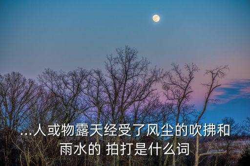 ...人或物露天經受了風塵的吹拂和雨水的 拍打是什么詞