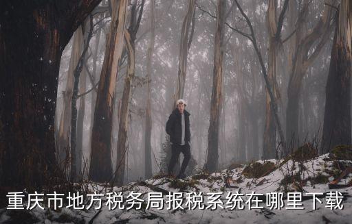 重慶市地方稅務局報稅系統(tǒng)在哪里下載