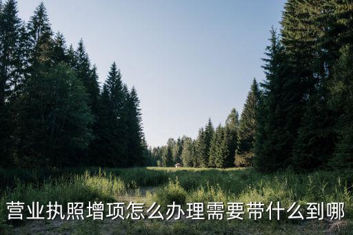營業執照增項怎么辦理需要帶什么到哪