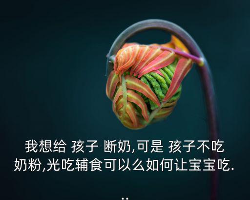 我想給 孩子 斷奶,可是 孩子不吃奶粉,光吃輔食可以么如何讓寶寶吃...