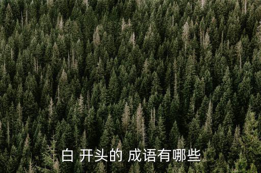 白開頭成語,白玉無瑕，發(fā)蒼蒼，淡面書生等三個成語