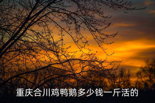 重慶合川雞鴨鵝多少錢一斤活的