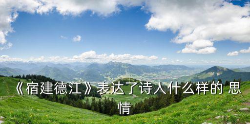 《宿建德江》表達了詩人什么樣的 思情