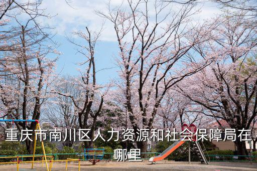 重慶市南川區人力資源和社會保障局在哪里