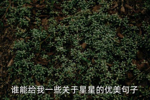 誰能給我一些關(guān)于星星的優(yōu)美句子