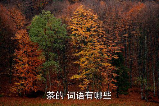 形容茶的詞語,茶字解釋:泡茶的意思!