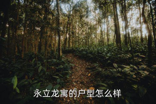 永立龍寓的戶型怎么樣