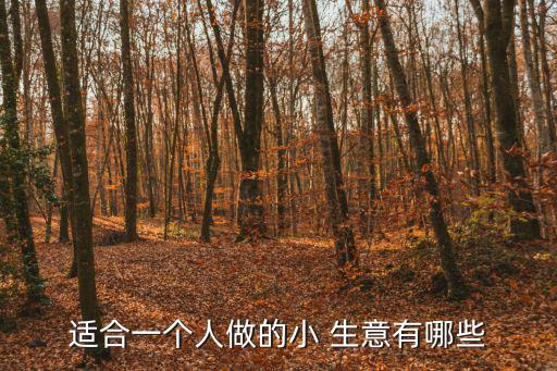 適合一個人做的小 生意有哪些