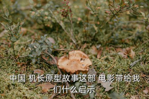 電影中國機長,電影《中國機長》票房過億原型為劉長健