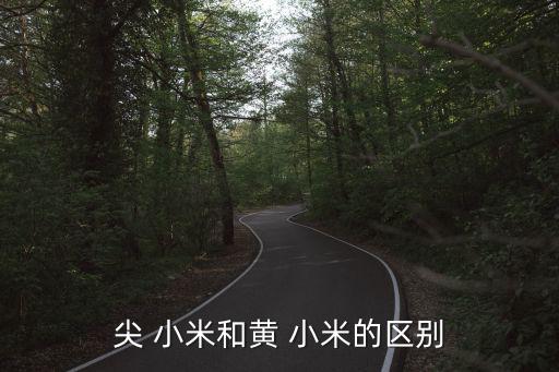 尖 小米和黃 小米的區(qū)別