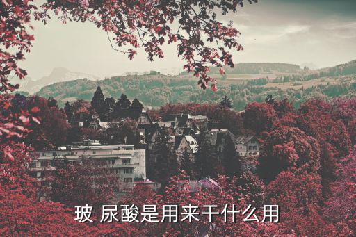 玻 尿酸是用來干什么用