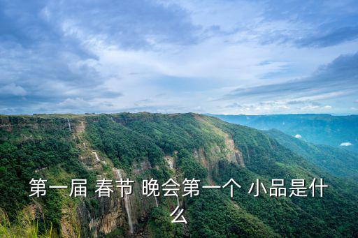 春節(jié)晚會(huì)小品,解鎖小品簡(jiǎn)介