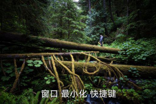  窗口 最小化 快捷鍵