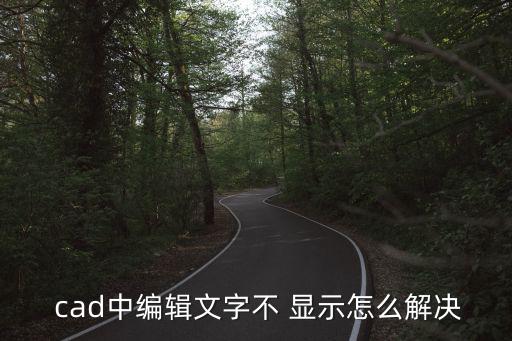 cad字體不顯示,文字太小看不下去cadcad如何解決?