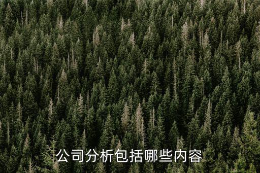 公司分析包括哪些內容
