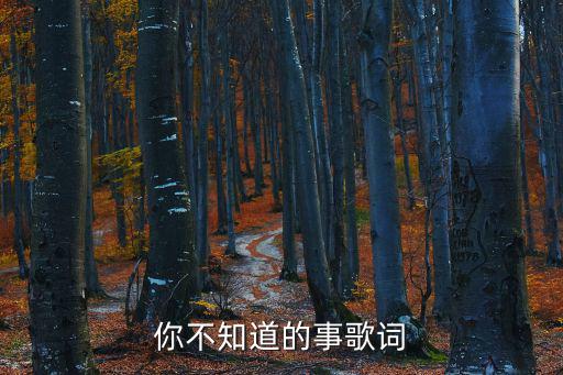 你不知道的事歌詞