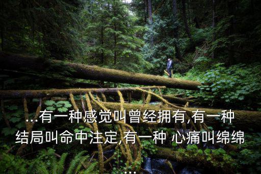 ...有一種感覺叫曾經擁有,有一種結局叫命中注定,有一種 心痛叫綿綿...
