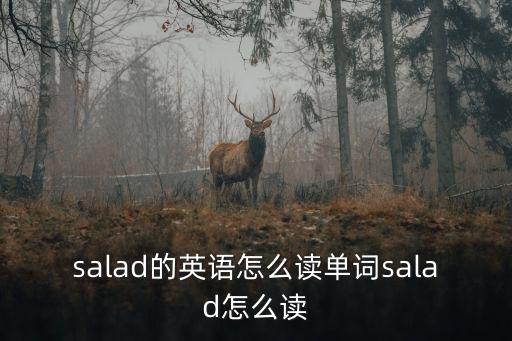 salad的英語怎么讀單詞salad怎么讀