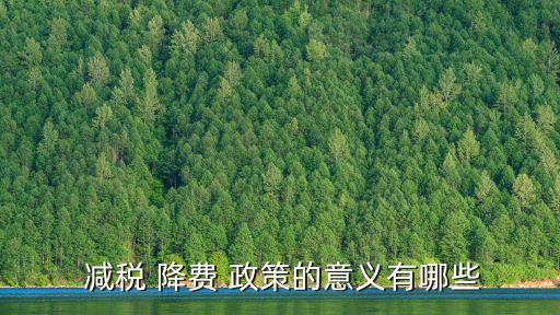  減稅 降費 政策的意義有哪些