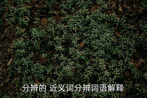 分辨的 近義詞分辨詞語解釋