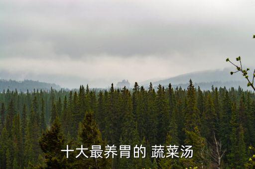 十大最養(yǎng)胃的 蔬菜湯