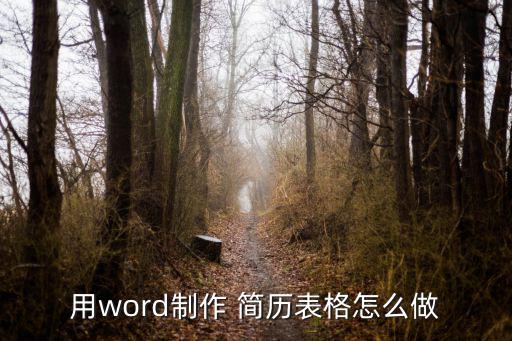 用word制作 簡歷表格怎么做