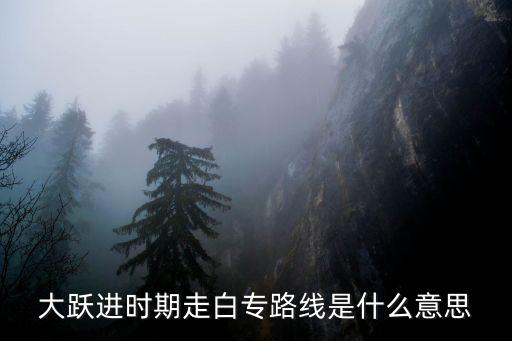 大躍進(jìn)時期走白專路線是什么意思