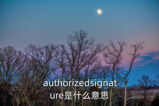  authorizedsignature是什么意思