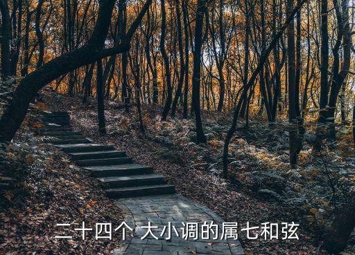 二十四個 大小調的屬七和弦