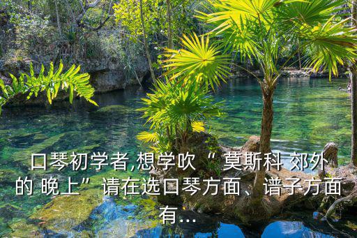 口琴初學者,想學吹“ 莫斯科 郊外的 晚上”請在選口琴方面、譜子方面有...
