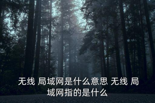  無線 局域網(wǎng)是什么意思 無線 局域網(wǎng)指的是什么